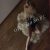 En Kaliteli Escort İle En Kaliteli Servis İçin Tıklayınız - Image 6